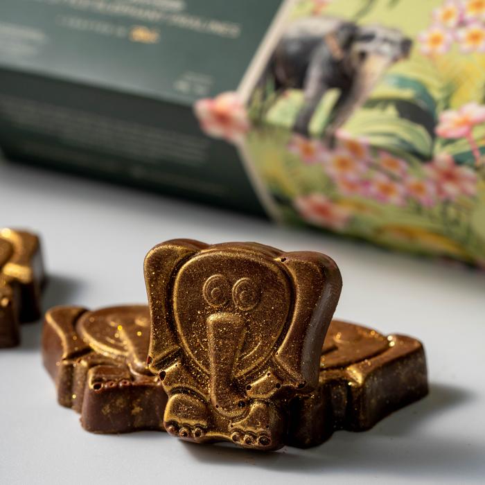Dark Chocolate Pistachio Elephant Pralines in Box 4